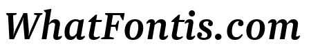Newzald MediumItalic