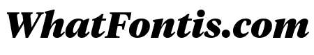 TiemposHeadline BlackItalic