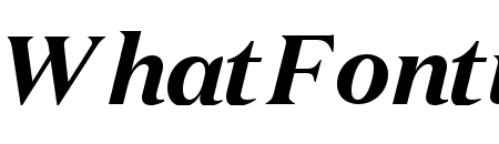 DomaineText BoldItalic