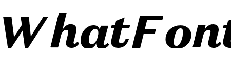 DomaineSansText BlackItalic