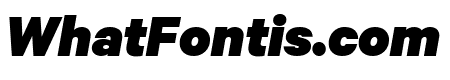 Calibre BlackItalic