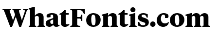 TiemposHeadline Bold