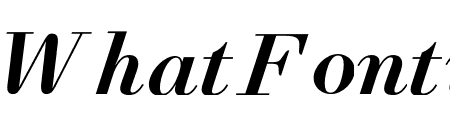 NewParisText BoldItalic WebXL