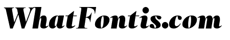 RomainHeadline BlackItalic WebXL