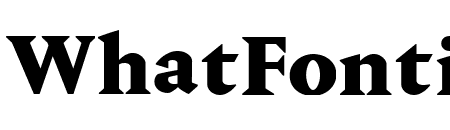 PortraitText Heavy Reduced