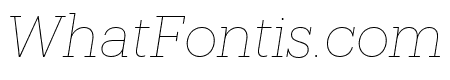 Produkt ThinItalic Reduced