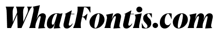 Canela BlackItalic Reduced