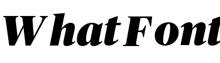 PublicoBanner BlackItalic Reduced