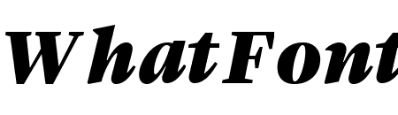 LyonDisplay BlackItalic Reduced