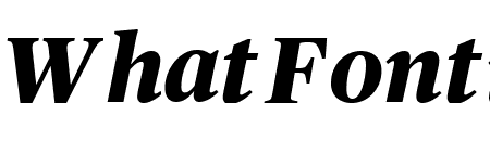 PublicoHeadline ExtraboldItalic Reduced