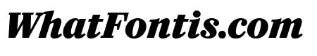CaponiDisplay BlackItalic Reduced