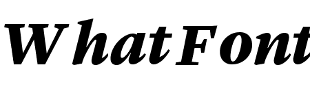 LyonText BlackItalic Reduced