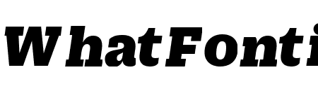 DuplicateSlab BlackItalic Reduced