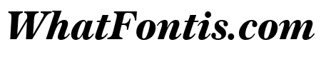 AustinText BoldItalic Reduced
