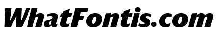 DarbySans BlackItalic Reduced