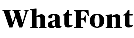 PublicoHeadline Extrabold Reduced