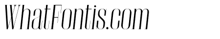 GiorgioXL Italic Reduced