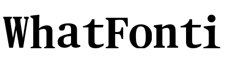 PublicoTextMono Semibold Reduced