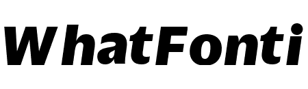 DuplicateSans BlackItalic Reduced