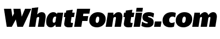 SanomatSans BlackItalic Reduced