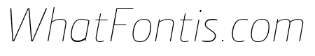 Section ThinItalic