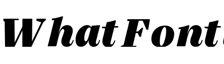 SilvaDisplay UltrablackItalic