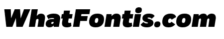 Fort BlackItalic