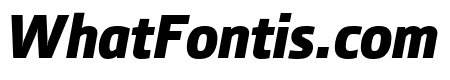 Section BlackItalic