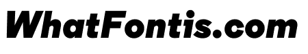 Regular BlackItalic