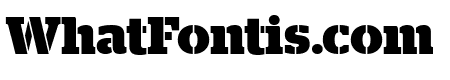 StagStencil Bold