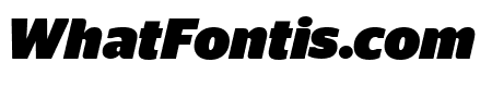 StagSans BlackItalic