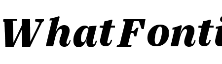 SilvaText BlackItalic
