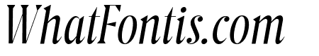 BC Steiner Italic