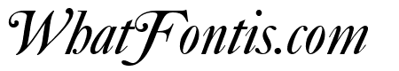 CaslonNo540SwaD Italic