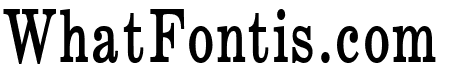 Annual Thin Bold