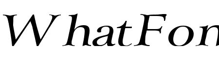 Array Wide Italic
