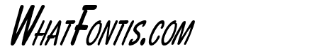 Bassett Thin Italic