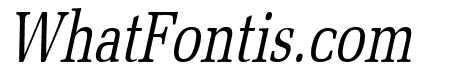 Bid Roman Thin Italic