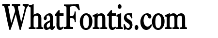 Bliss Thin Bold Italic