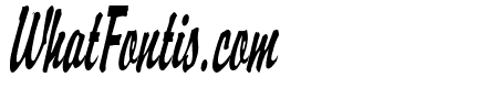Brisk Thin Italic