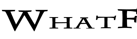 Chaz Extended Bold