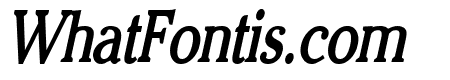 Chelsey Thin Bold Italic