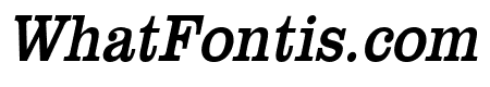 Clare Thin Italic