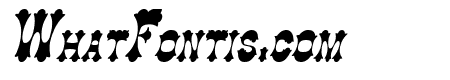 Cowboy Thin Italic