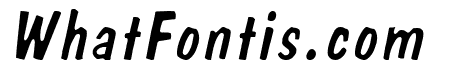 Danto Lite Italic
