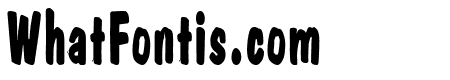 Danto Thin Bold