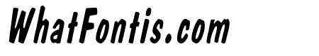 Danto Thin Italic