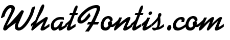 Di Italic