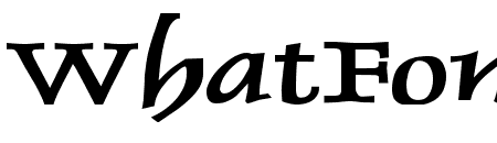 Dolphin Extended Bold