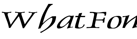 Dolphin Extended Italic